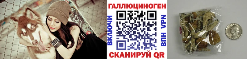 Купить закладки  Невинномысск  Псилоцибиновые грибы Psilocybine cubensis 